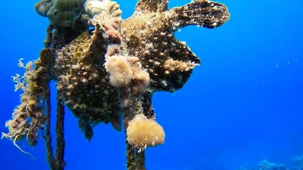 Bait Alaqaba Dive Center & Resort 외부 사진